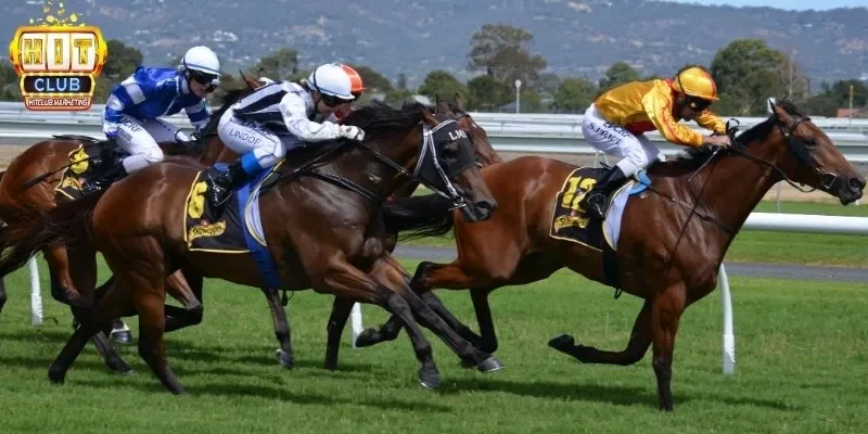 Đua ngựa mang lại cơ hội kiếm tiền đơn giản, tham gia dễ dàng tại Hitclub